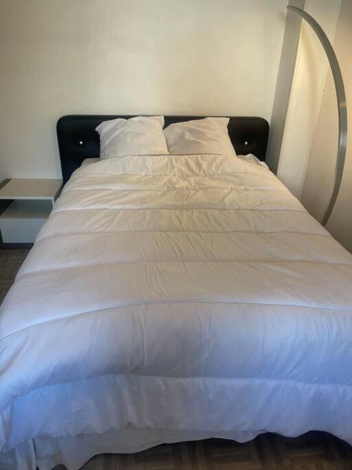 Appartement Croix Rousse 69004 Лион Экстерьер фото